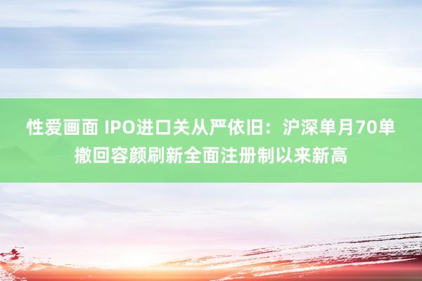 性爱画面 IPO进口关从严依旧：沪深单月70单撤回容颜刷新全面注册制以来新高