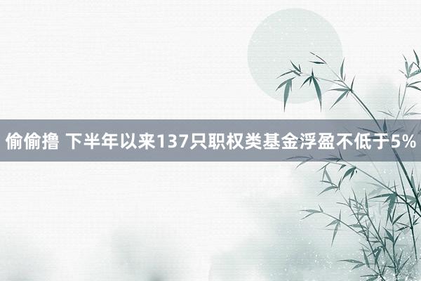 偷偷撸 下半年以来137只职权类基金浮盈不低于5%