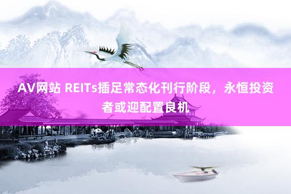 AV网站 REITs插足常态化刊行阶段，永恒投资者或迎配置良机