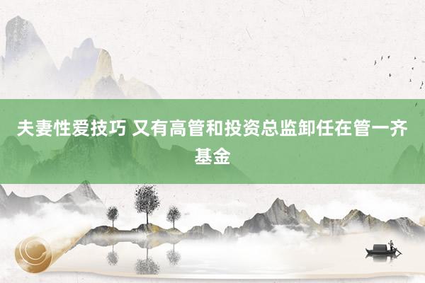 夫妻性爱技巧 又有高管和投资总监卸任在管一齐基金