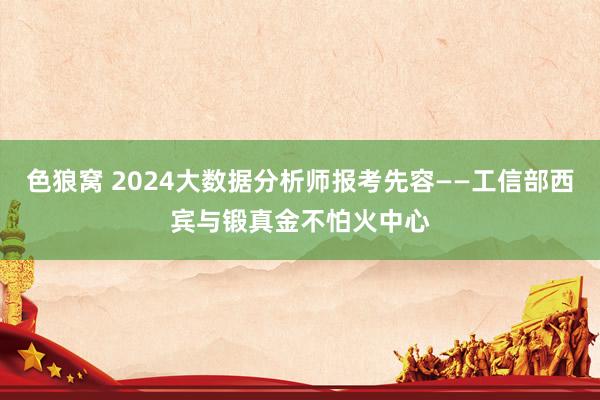 色狼窝 2024大数据分析师报考先容——工信部西宾与锻真金不怕火中心