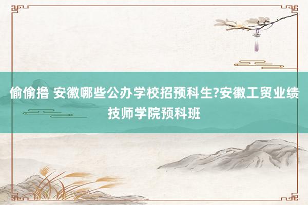 偷偷撸 安徽哪些公办学校招预科生?安徽工贸业绩技师学院预科班