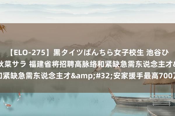 【ELO-275】黒タイツぱんちら女子校生 池谷ひかる さくら 宮下まい 秋菜サラ 福建省将招聘高脉络和紧缺急需东说念主才&#32;安家援手最高700万元