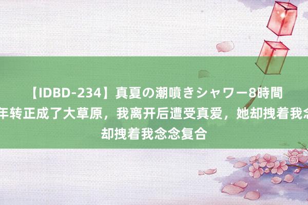 【IDBD-234】真夏の潮噴きシャワー8時間 跪舔十年转正成了大草原，我离开后遭受真爱，她却拽着我念念复合