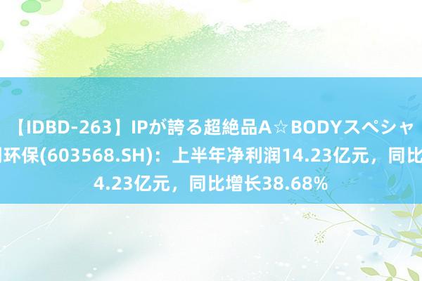 【IDBD-263】IPが誇る超絶品A☆BODYスペシャル8時間 伟明环保(603568.SH)：上半年净利润14.23亿元，同比增长38.68%