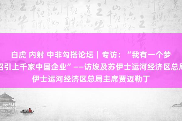 白虎 内射 中非勾搭论坛｜专访：“我有一个梦思，但愿改日招引上千家中国企业”——访埃及苏伊士运河经济区总局主席贾迈勒丁