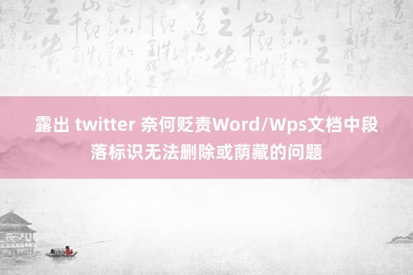 露出 twitter 奈何贬责Word/Wps文档中段落标识无法删除或荫藏的问题