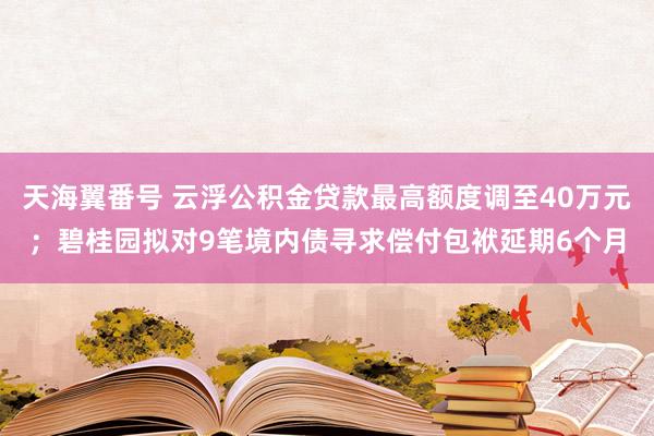 天海翼番号 云浮公积金贷款最高额度调至40万元；碧桂园拟对9笔境内债寻求偿付包袱延期6个月