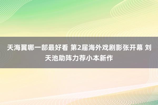 天海翼哪一部最好看 第2届海外戏剧影张开幕 刘天池助阵力荐小本新作