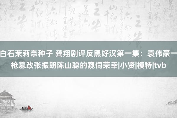 白石茉莉奈种子 龚翔剧评反黑好汉第一集：袁伟豪一枪篡改张振朗陈山聪的窥伺荣幸|小贤|模特|tvb