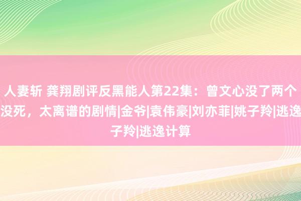 人妻斩 龚翔剧评反黑能人第22集：曾文心没了两个肾还没死，太离谱的剧情|金爷|袁伟豪|刘亦菲|姚子羚|逃逸计算